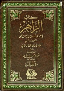 كتاب الزاهر في غرائب ألفاظ الشافعي المعروف باسم تفسير ألفاظ مختصر المزني