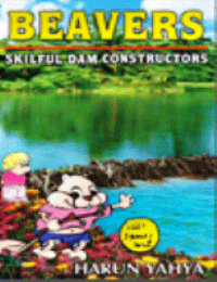 BEAVERS SKILFUL DAM CONSTRUCTORS