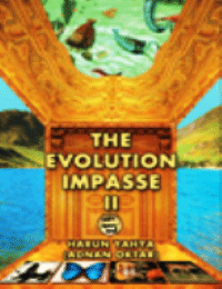 THE EVOLUTION IMPASSE II (K-Z)