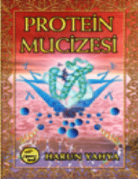 Protein Mucizesi